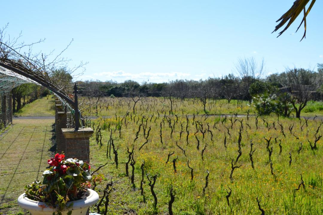 Photo of Others in Mascalucia