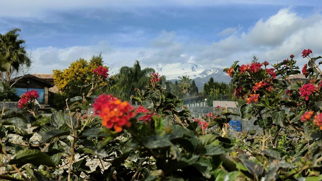 Photo of Outdoor in Giarre