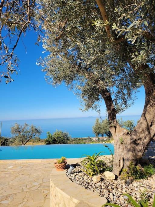Photo of Outdoor in Acquedolci