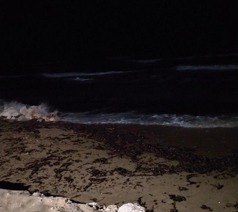 Photo of Others in Cianciana