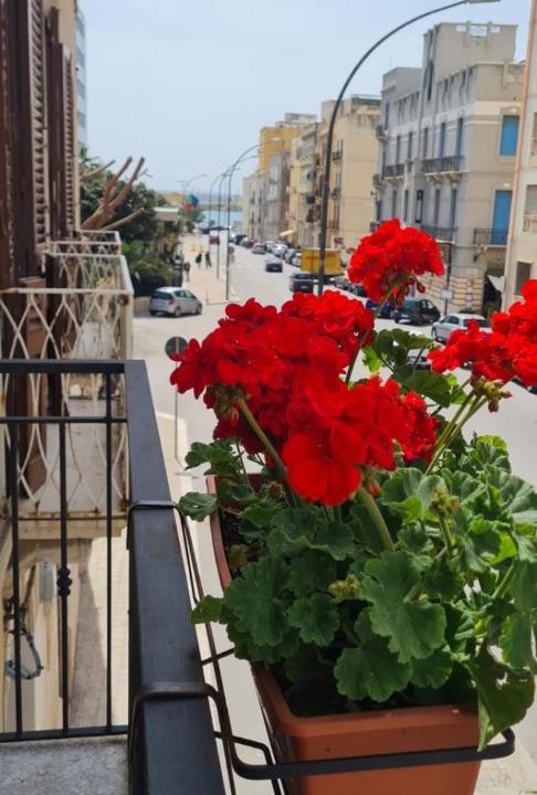 Photo of Others in Trapani City Centre