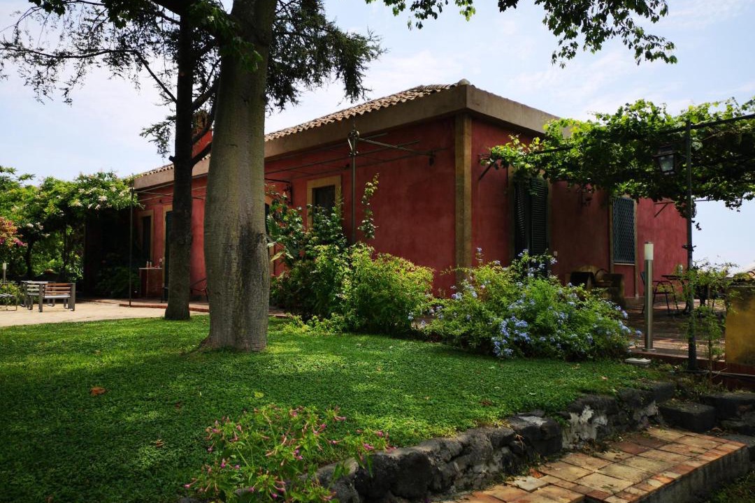 Photo of Buildings in Archi