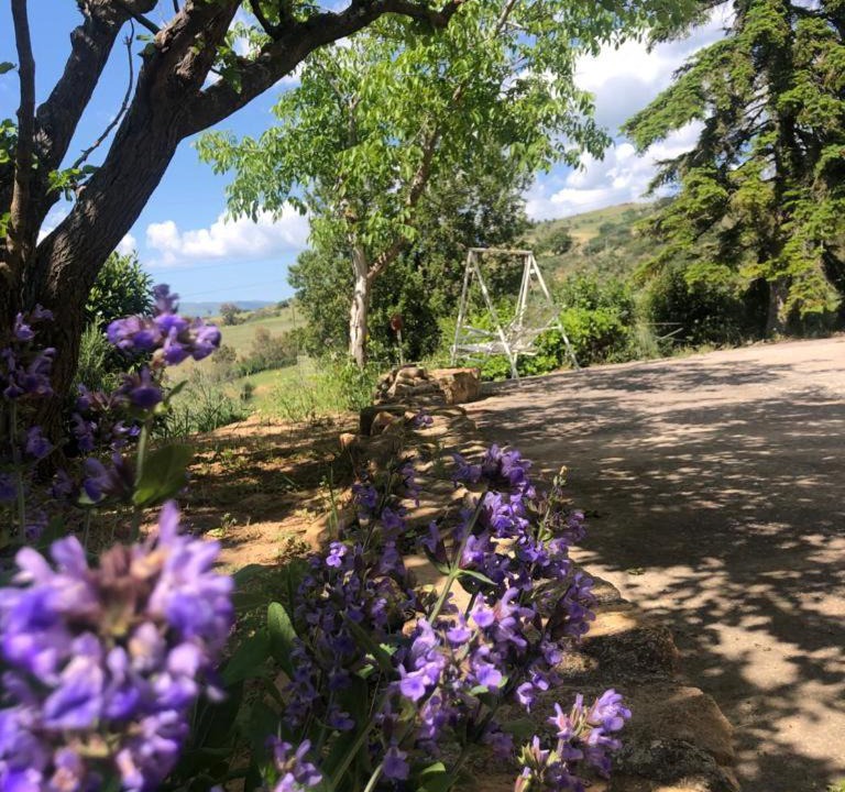 Photo of Outdoor in Gagliano Castelferrato