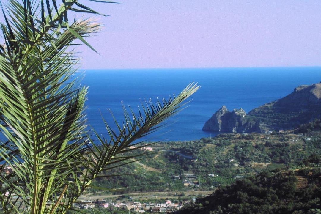 Photo of Others in Savoca