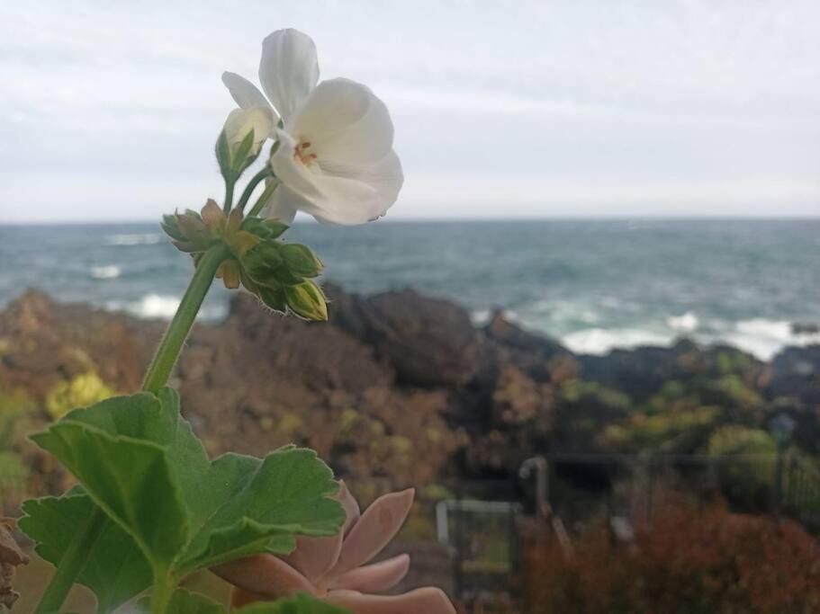 Photo of Outdoor in Stazzo