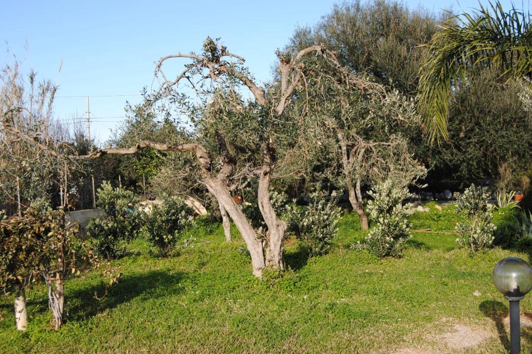 Photo of Others in Carini