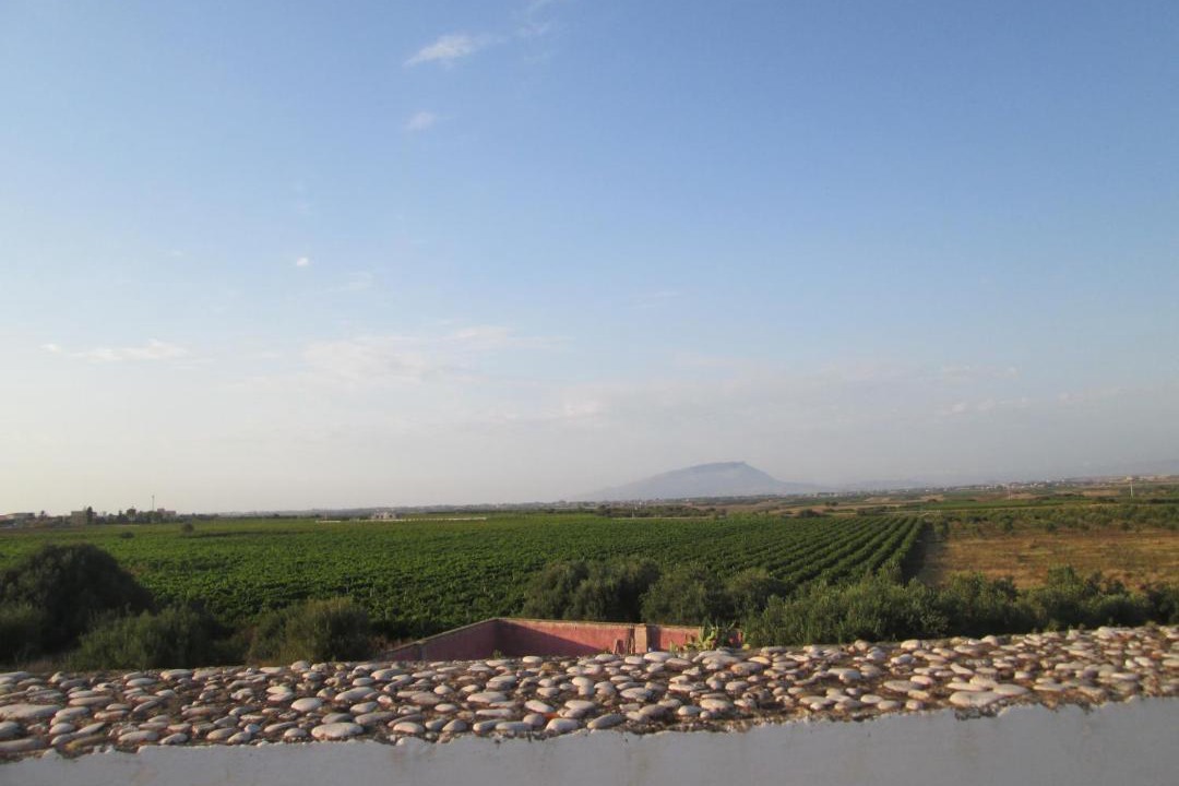 Photo of Others in Marsala