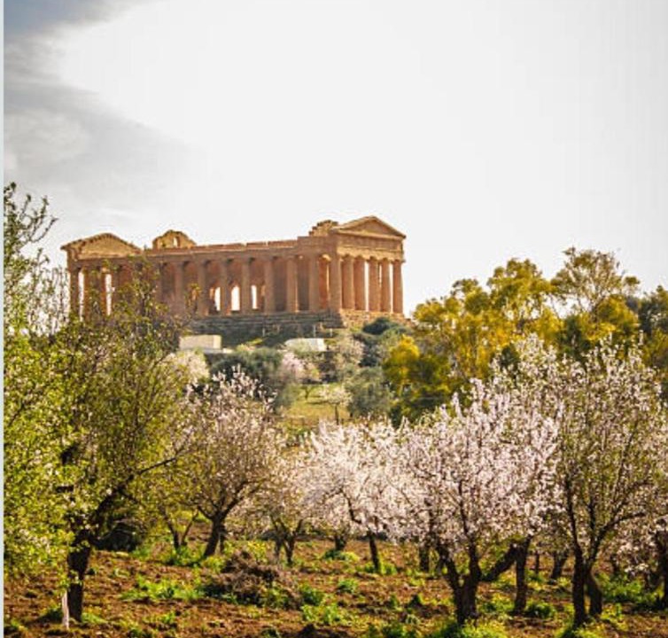 Photo of Others in Agrigento