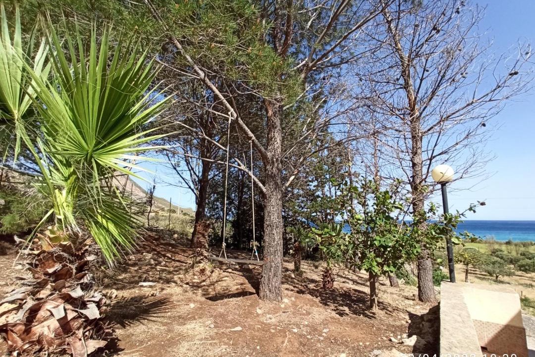 Photo of Outdoor in Custonaci