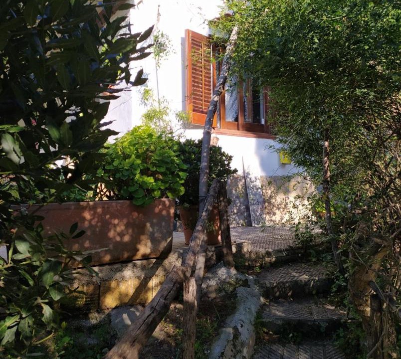 Photo of Others in Altavilla Milicia