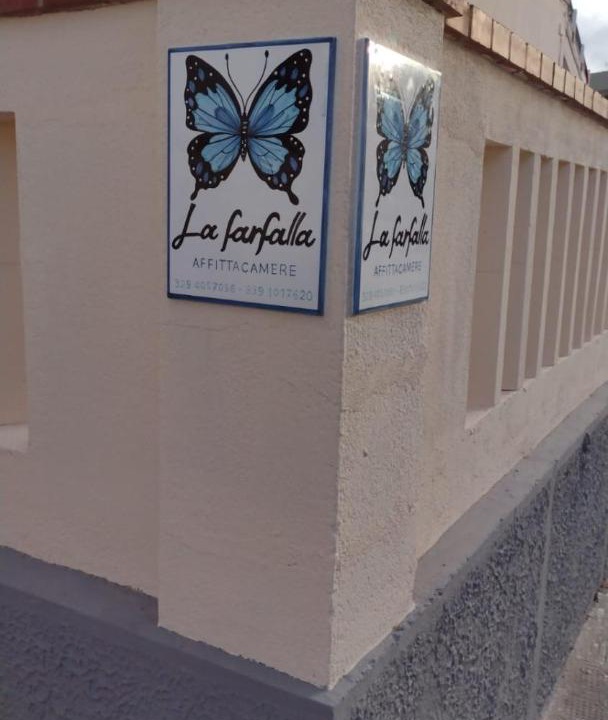 Photo of Others in Favignana