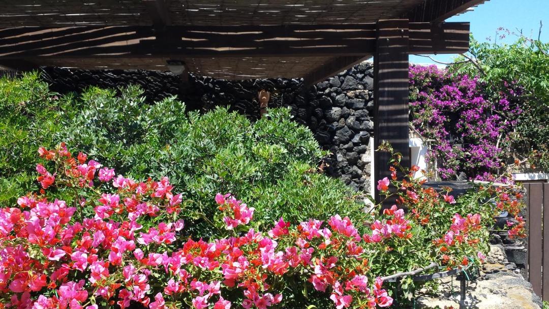 Photo of Others in Pantelleria