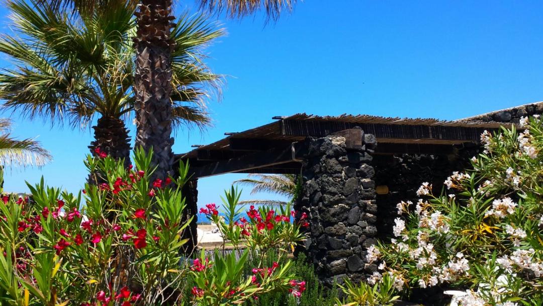 Photo of Others in Pantelleria