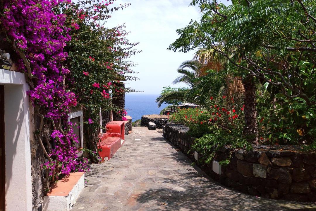 Photo of Others in Pantelleria