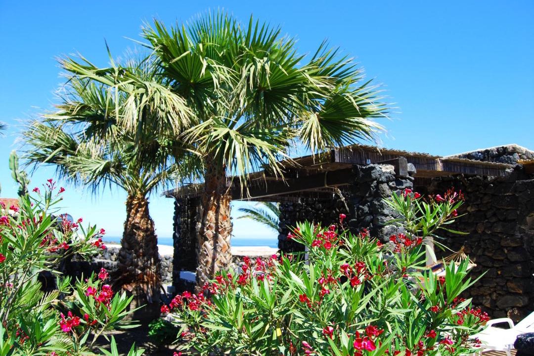 Photo of Others in Pantelleria