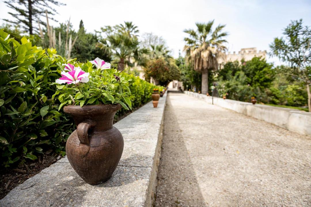 Photo of Others in Sant'Andrea Bonagia