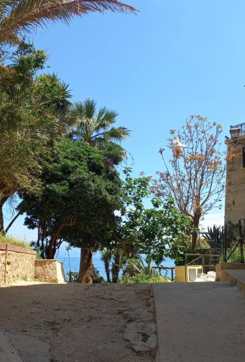 Photo of Others in Castellammare del Golfo