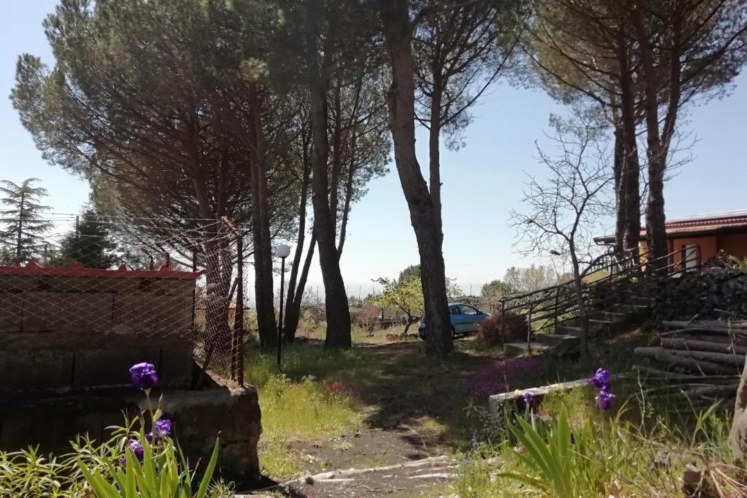 Photo of Others in Nicolosi