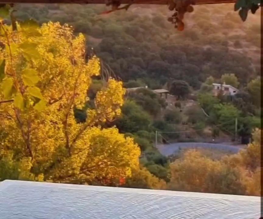 Photo of Outdoor in Cinisi