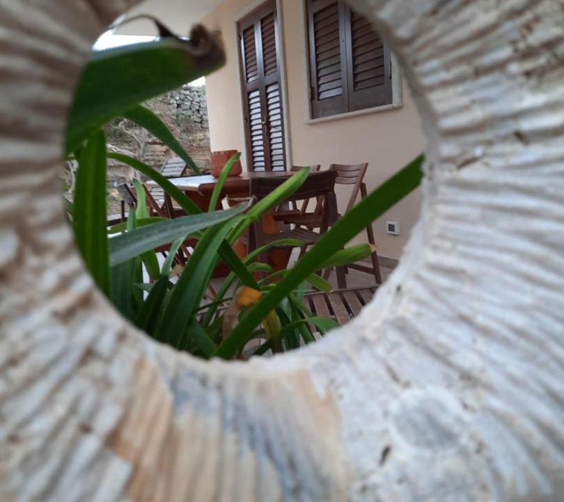 Photo of Others in Favignana