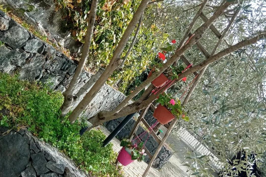 Photo of Outdoor in Bronte