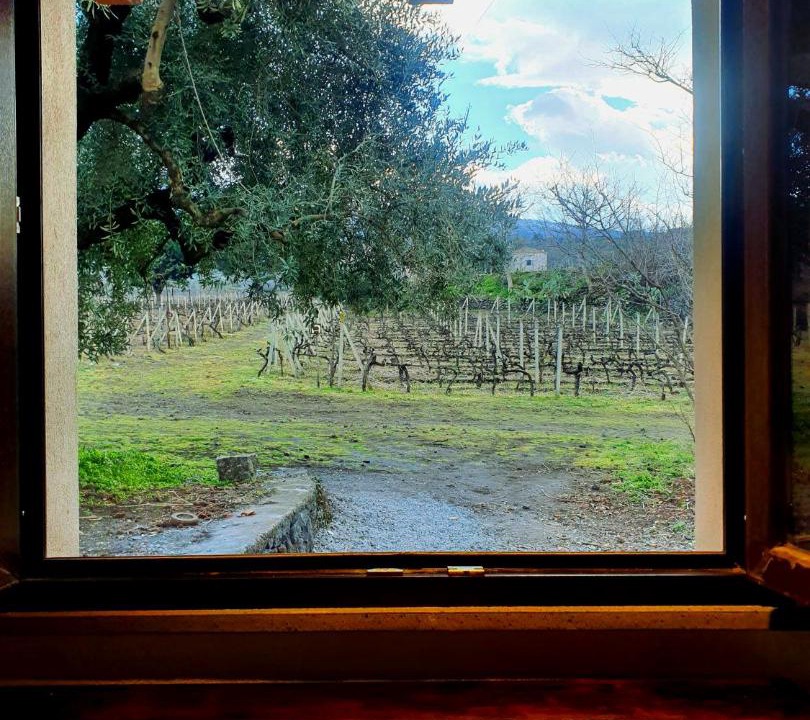 Photo of Others in Passopisciaro