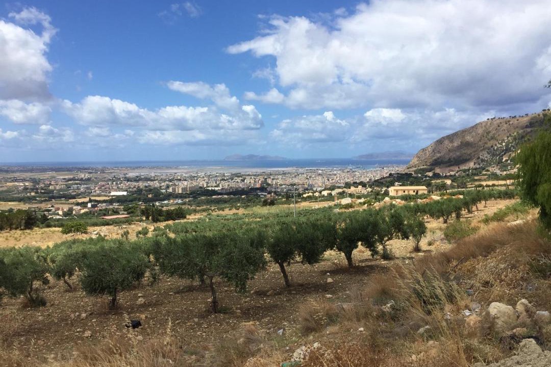 Photo of Others in Erice