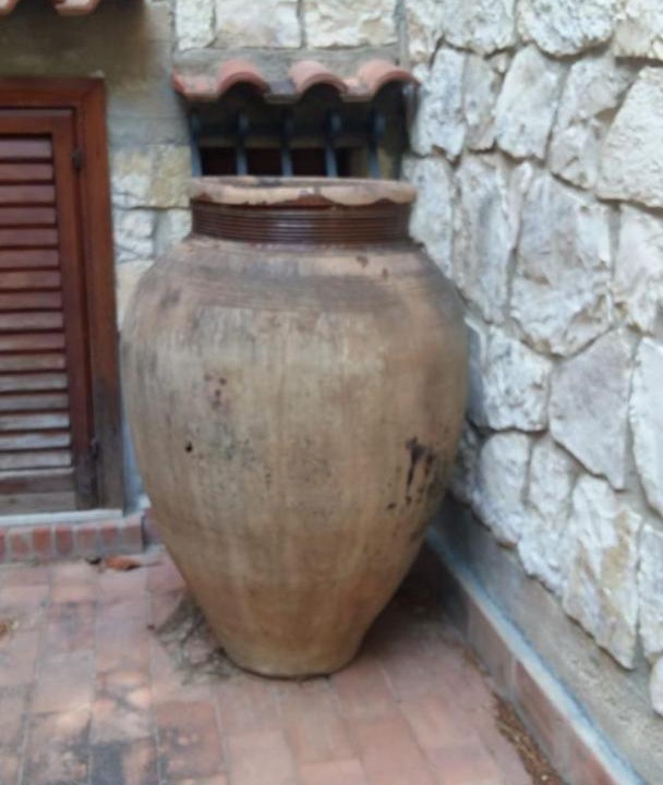 Photo of Others in Scopello