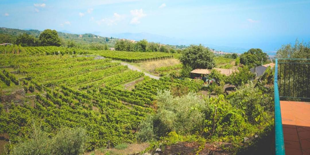 Photo of Outdoor in Fornazzo