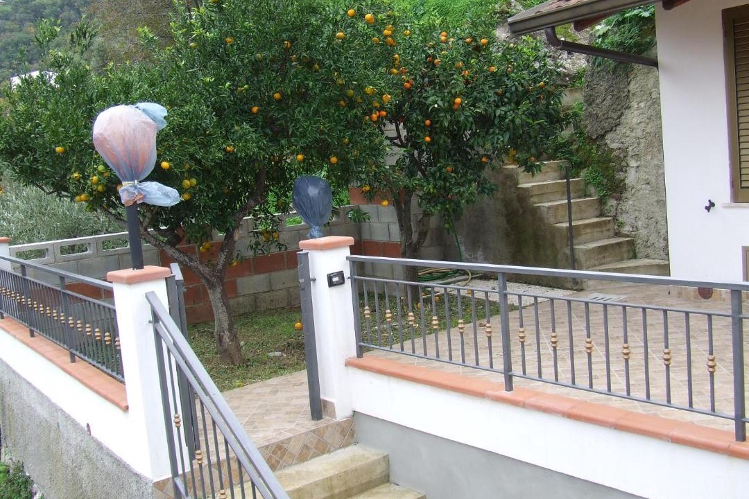 Photo of Others in Piraino