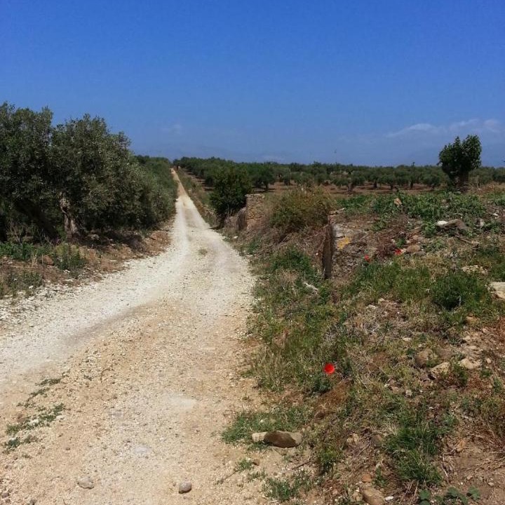 Photo of Outdoor in Alcamo