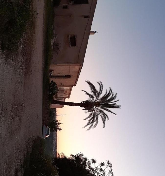 Photo of Others in Alcamo