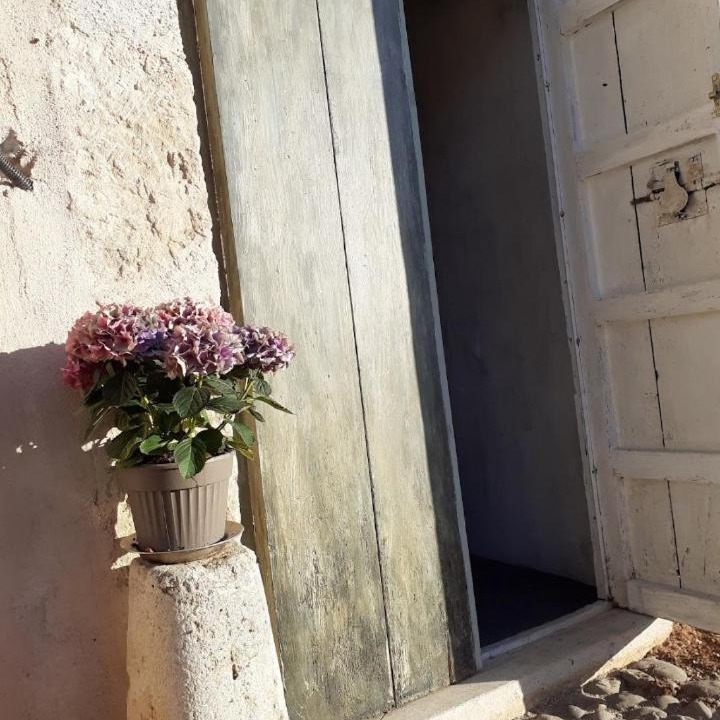 Photo of Others in Alcamo