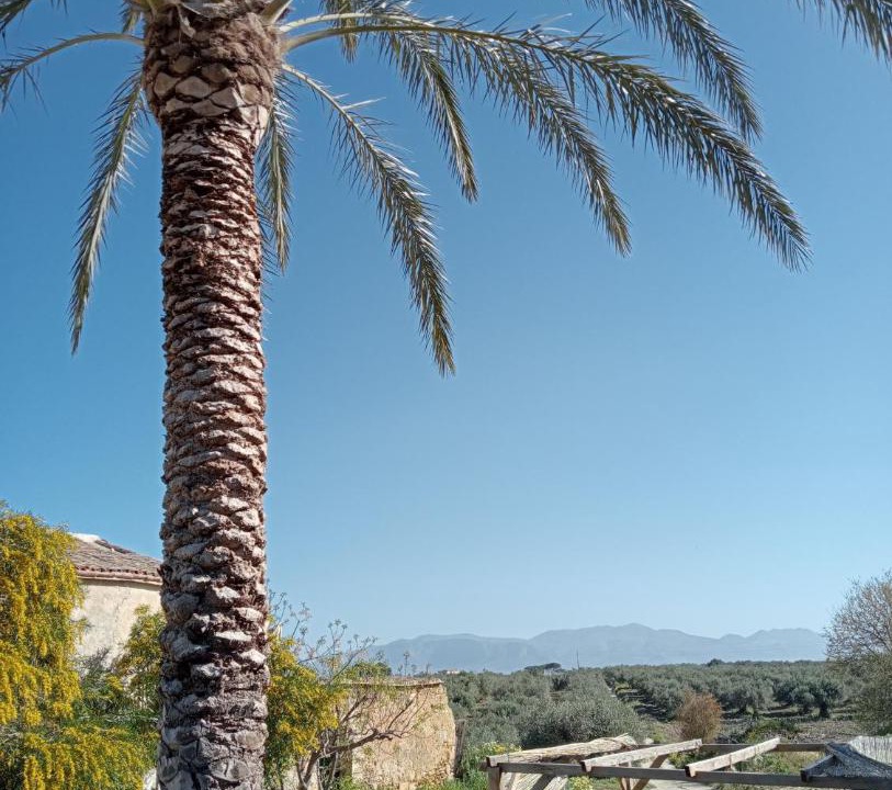 Photo of Outdoor in Alcamo