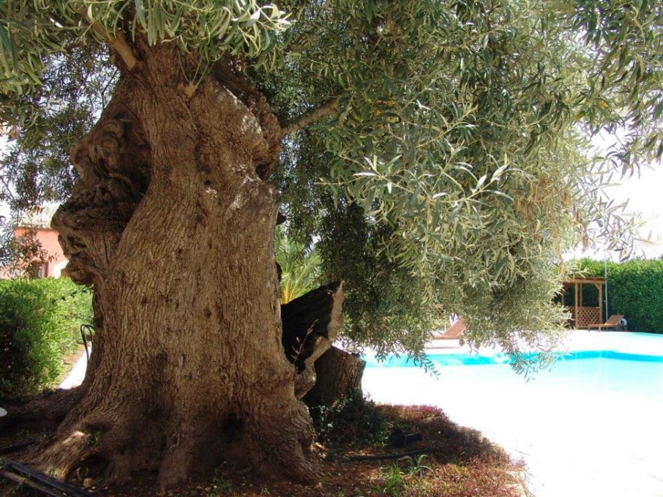 Photo of Others in Maeggio