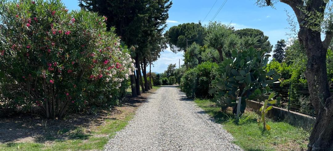 Photo of Others in Corigliano Calabro