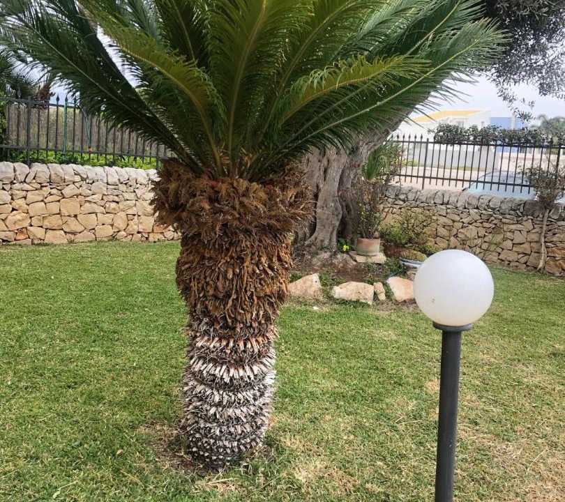 Photo of Others in Marina di Ragusa