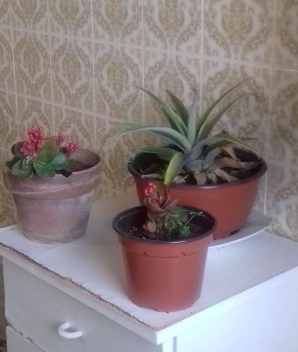 Photo of Others in Casa Santa