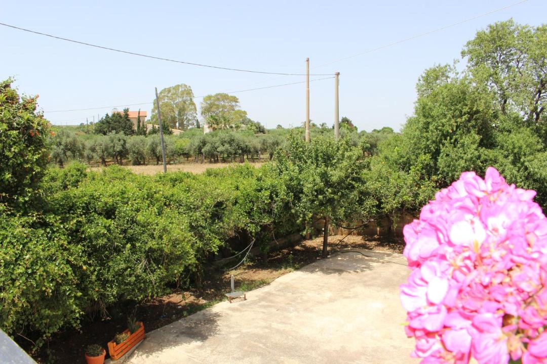 Photo of Outdoor in Sciacca