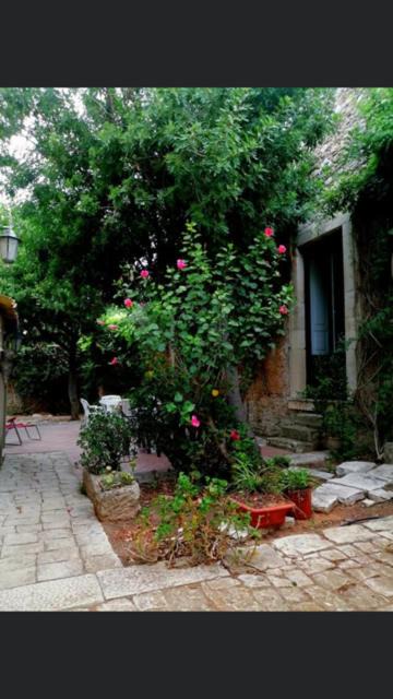 Photo of Buildings in Vittoria