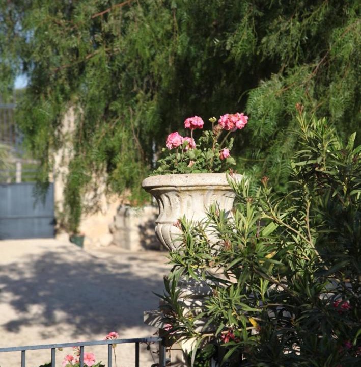 Photo of Others in Vittoria