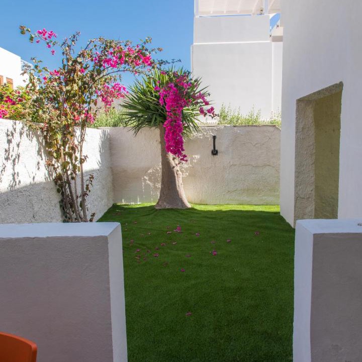 Photo of Others in Favignana