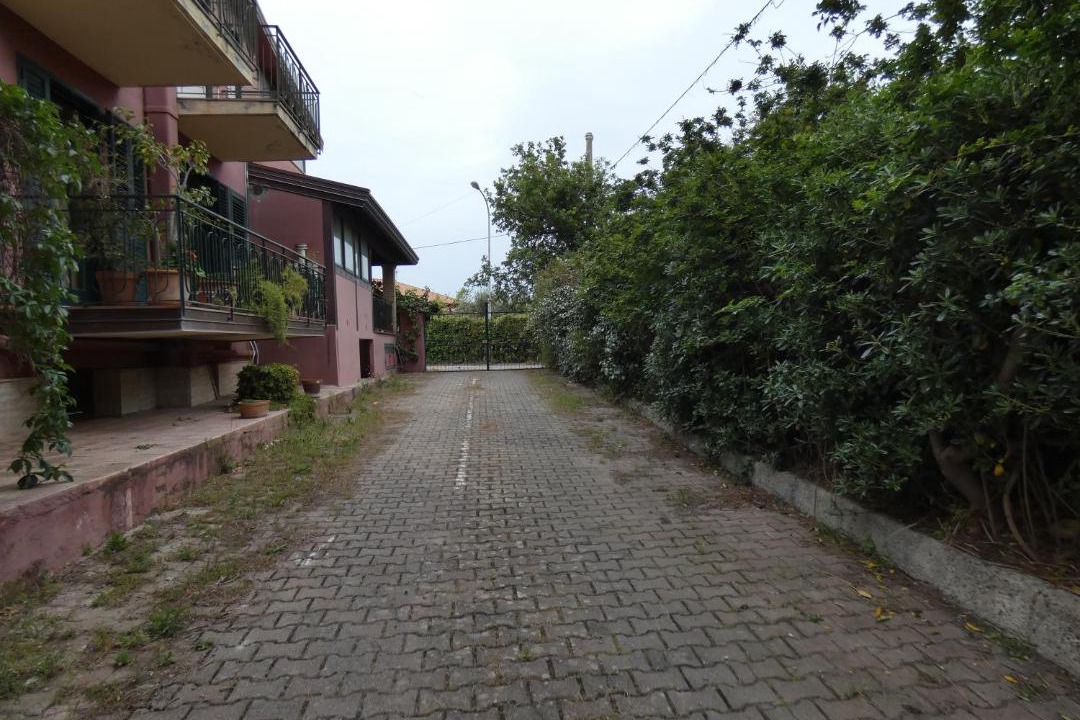 Photo of Others in Sorrentini