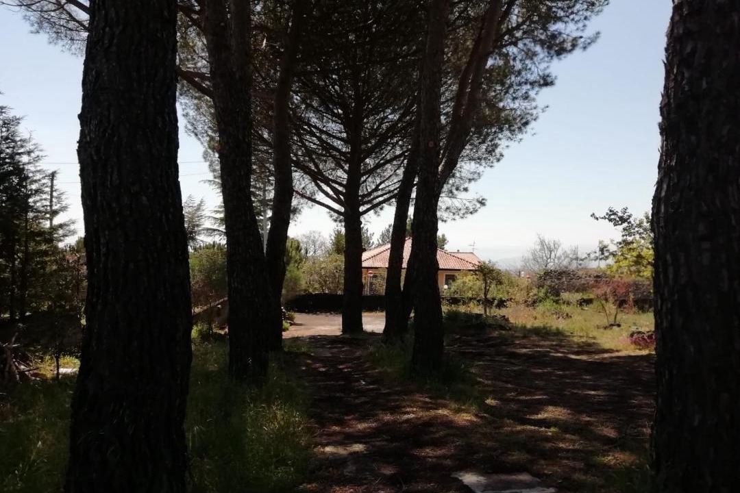 Photo of Others in Nicolosi