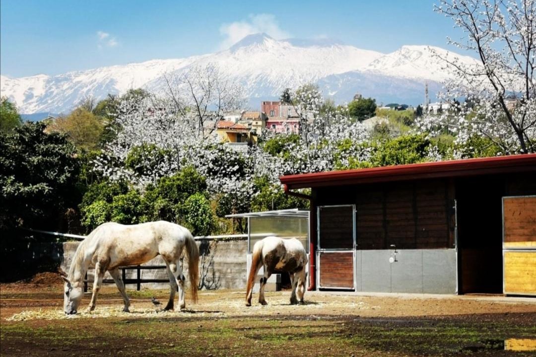 Photo of Others in San Giovanni Montebello