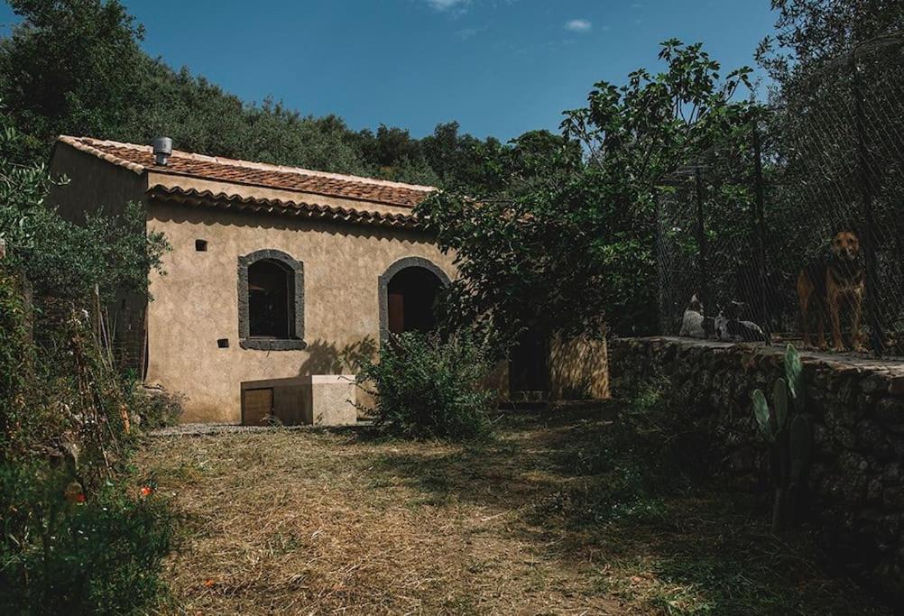 Photo of Buildings in Mitogio