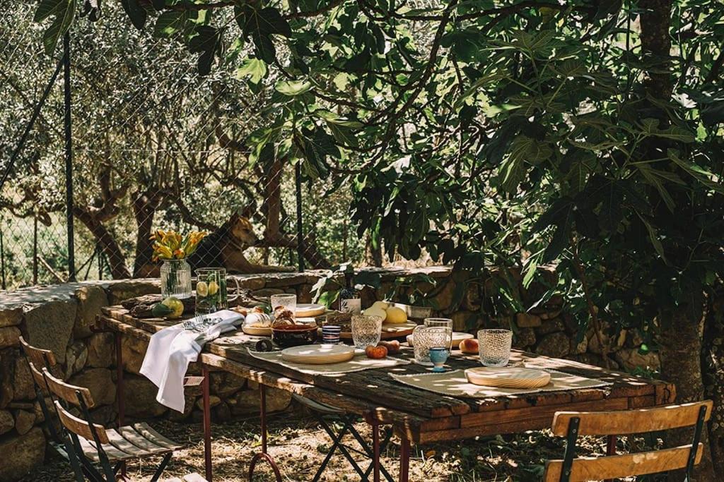 Photo of Patio Balcony in Mitogio