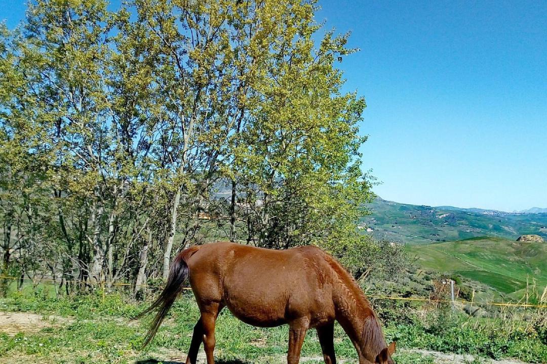Photo of Others in Cammarata