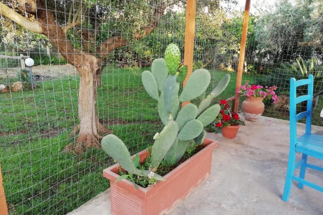 Photo of Patio Balcony in Marsala