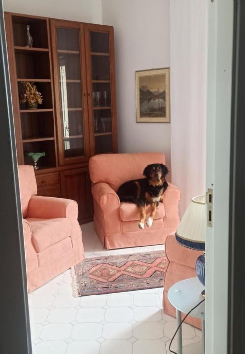 Photo of Livingroom in Cesaro